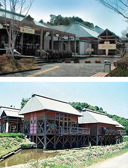 とんぼ自然公園＆あきついお（四万十川学遊館）